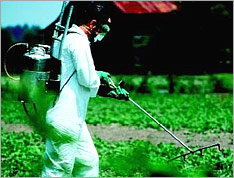 Chemical Fertilizers