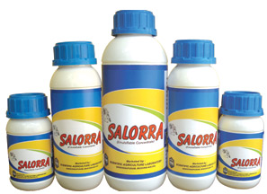 Salorra