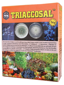 Triaccosal